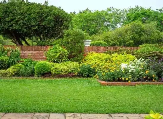 landscaping services Minoa